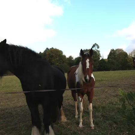 Le Ranch